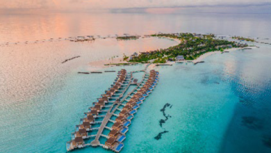 Kuda Villingili Resort Maldives welcomes the Year of the Horse | News