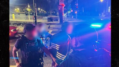 LAPD releases arrest photos of Nick Reiner in the murder of Rob and Michele Reiner