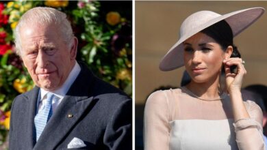 Meghan Markle accused of 'hijacking' King's Cancer Update