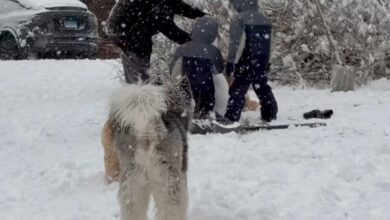 Richard Gere at his home in upstate New York