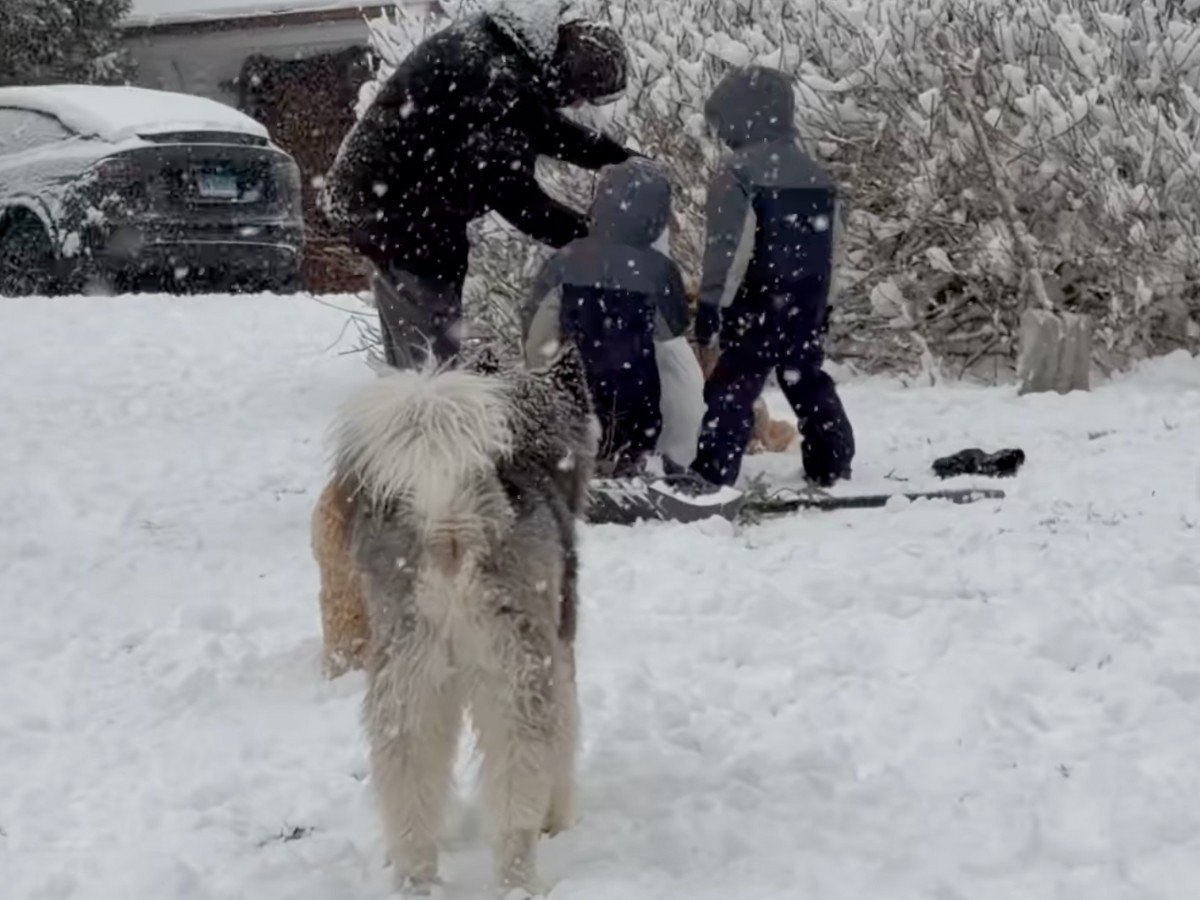 Richard Gere at his home in upstate New York