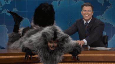 Sarah Sherman's Animal Novels Colin Jost