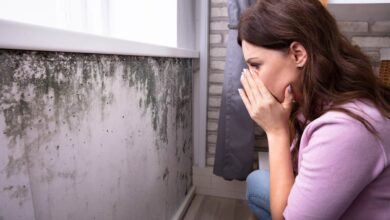 Selling a House With Mold