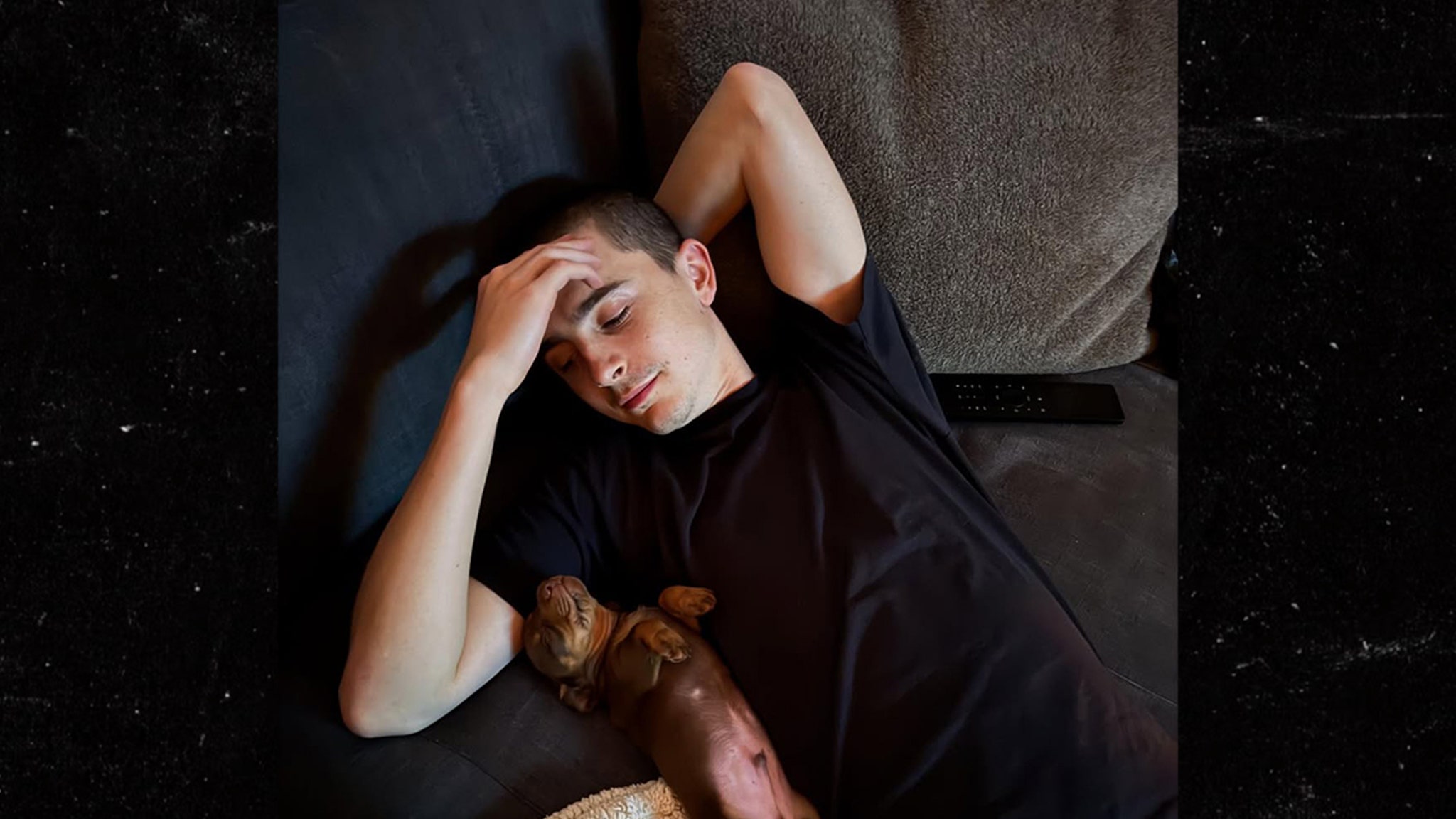 Timothee Chalamet gets a love puppy