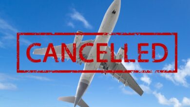 U.S. Travel Chaos Spikes Again As Airbus Recalls Cancels And Delays Thousands Of Flights