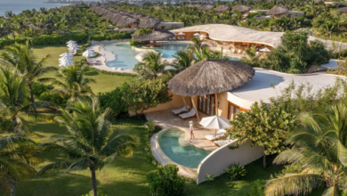Where coconut trees buzz and sustainability feels like luxury: Ana Mandara Cam Ranh | Focus