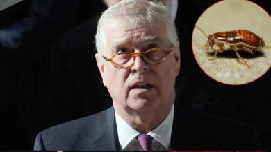 Andrew Windsor leaves taxpayers furious over bug removal law