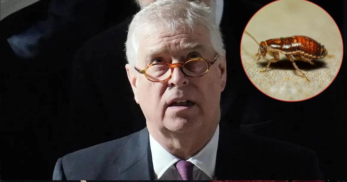 Andrew Windsor leaves taxpayers furious over bug removal law