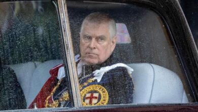 Andrew Windsor's big win as explosive new Epstein book is 'cancelled'