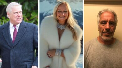 Beauty queen claimed Epstein offered meeting with Prince Andrew