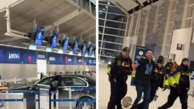 Car crashes into Detroit Airport terminal in crazy video