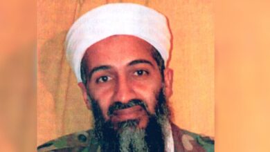 Conspiracy theories about the death of Osama bin Laden are taking over the internet