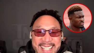 DK Metcalf can redeem himself in the playoffs after a fan fight, says Steelers SB Champ