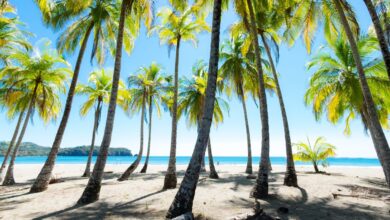 Is It Safe To Travel To Costa Rica