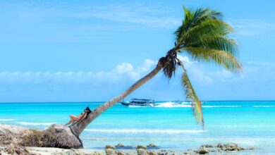 Is Grenada Safe To Visit? Travel Advisory 2026