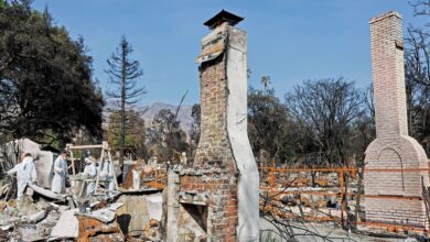 'It really hit us hard'