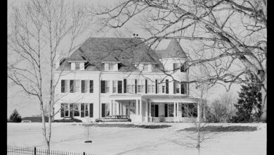 JD Vance and wife Usha announce they are expecting a fourth child