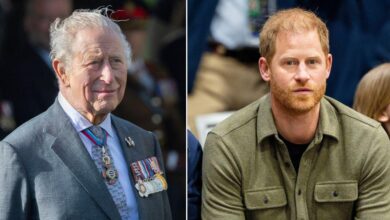 King Charles 'has no plans' to see son Prince Harry during a visit to Britain