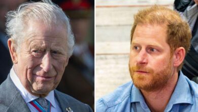 King Charles' refuses to meet Prince Harry during his return to Britain