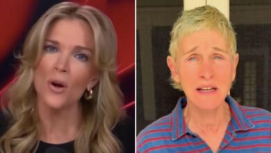 Megyn Kelly slams Ellen DeGeneres for supporting anti-ICE protests
