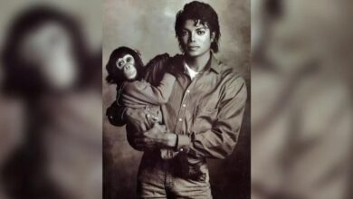 Michael Jackson's Chimp Bubbles is living a quiet life after fame