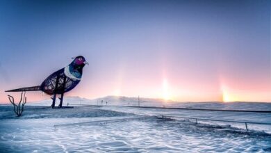 North Dakota Shines: A Year-Round Destination for Rare Natural Phenomena | News