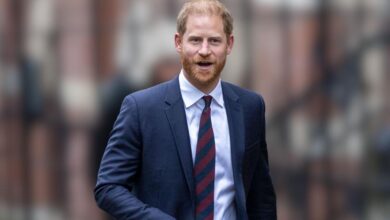Prince Harry 'uses Court Stalker Terror' to win Britain's security battle