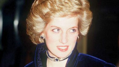 Princess Diana died haunted by an event she believed had hurt William and Harry