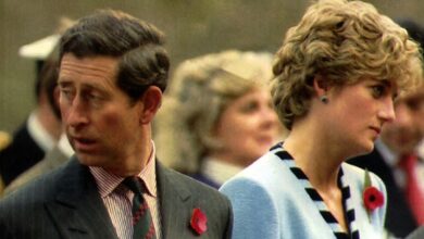 Princess Diana has made it clear who was responsible for the failure of her marriage