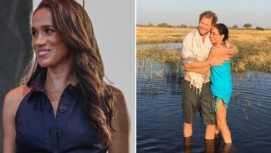 Social media is roasting Meghan Markle after she joined the Nostalgic 2016 trend