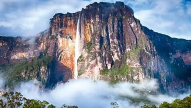 The FCDO advises against all travel to Venezuela | News