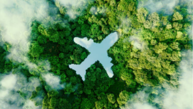 The Green Horizon: Travel and tourism trends for 2026 and sustainable travel | News