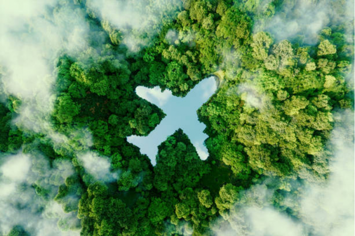 The Green Horizon: Travel and tourism trends for 2026 and sustainable travel | News