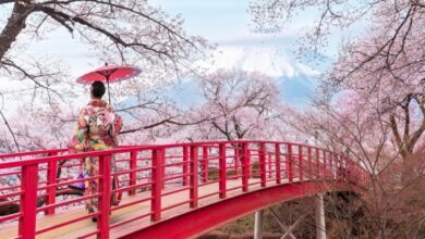 The best time of year to go to Japan: a month-by-month guide | News