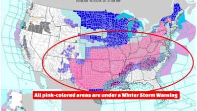 These U.S. States Are Currently Under Winter Storm Warning