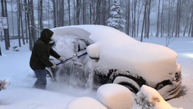 This U.S. State Is Forecast to Receive the Highest Snowfall This Weekend