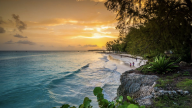 Barbados welcomes Aer Lingus |'s new direct Dublin-Barbados service News