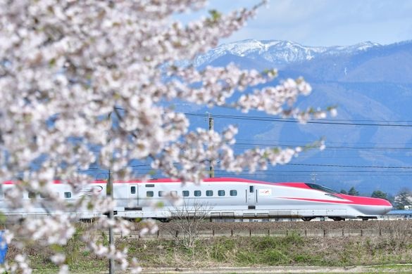 Beyond Tokyo: Eight cherry blossom destinations in Tohoku and nearby regions, connected by Shinkansen | News