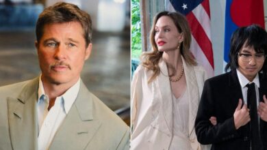 Brad Pitt's boyfriend claims Angelina Jolie is trying to separate the family