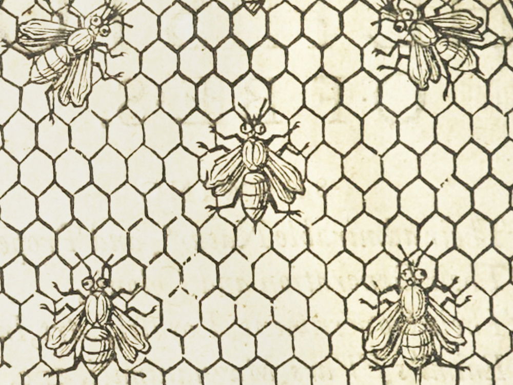 Charles Butler's *The Feminine Monarchy, or the History of Bees* (1634 edition) — The Public Domain Review