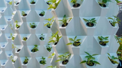 Crossroads Maldives sets a new benchmark for sustainable island destinations | News