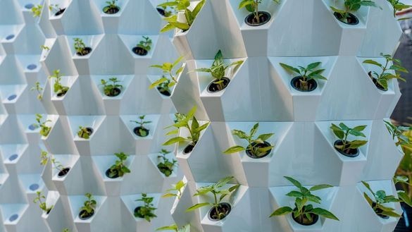 Crossroads Maldives sets a new benchmark for sustainable island destinations | News