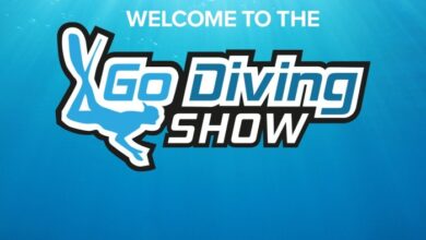 Dive into adventure during the Go Diving Show 2026 | News