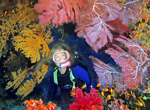 Divers save the ocean by diving with sharks and diving 20 meters deep in the dark at 11pm | News