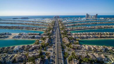 Dubai tourism hits third record year with 19.59M visitors in 2025 | News