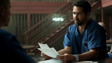 Elliott Gould's Legal Dies, Cobie Smulders