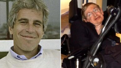 Epstein wanted 'Nobel Prize' for helping Stephen Hawking have sex