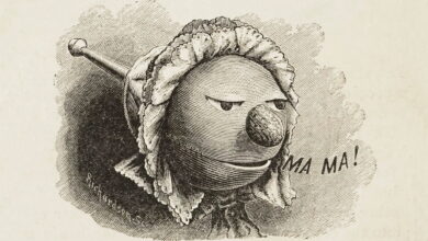 Experimenting with Sound in 19th Century Popular Science - The Public Domain Review