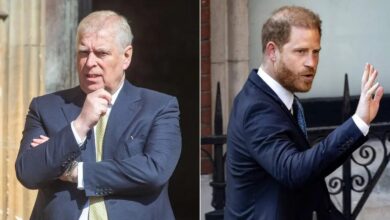 Former Prince Andrew hoped to join forces with cousin Harry before his arrest