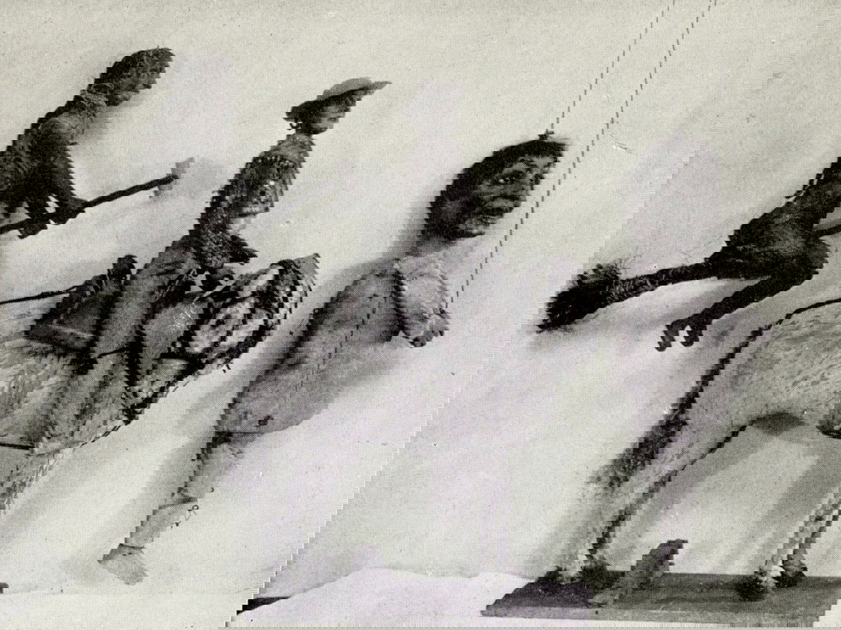 Helen Haiman Joseph's *A Book of Puppets* (1920) - The Public Domain Review